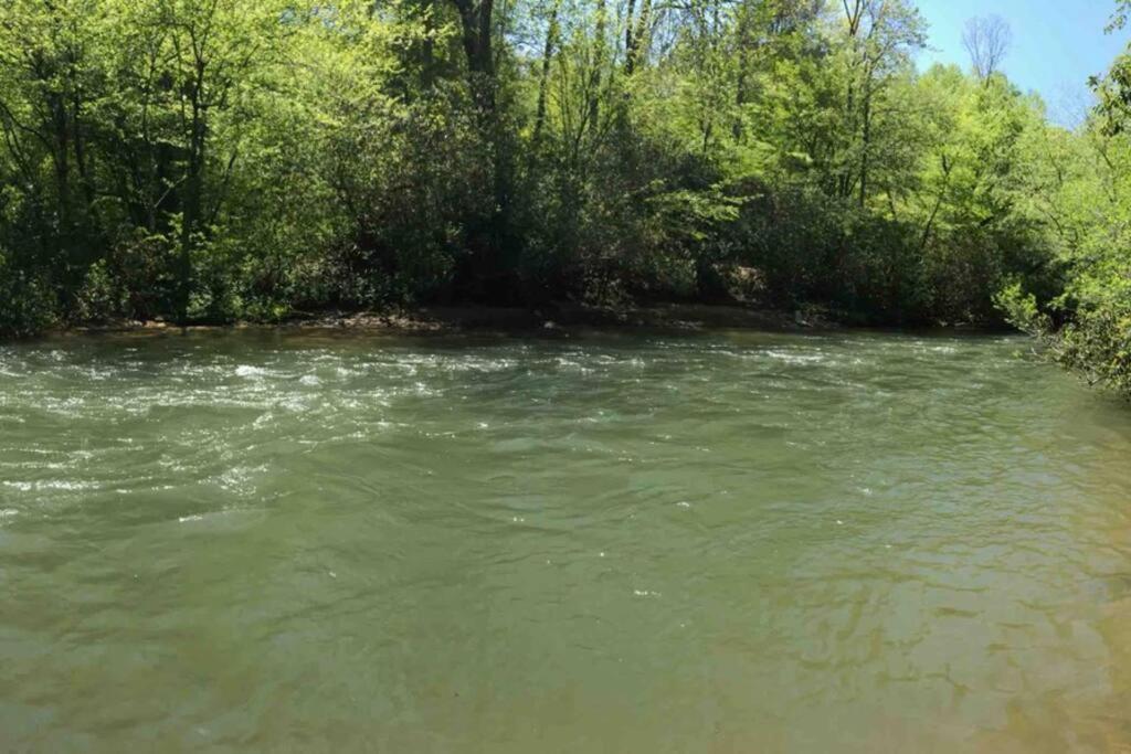 Cabin Fever On Cartecay River Ellijay Exterior photo