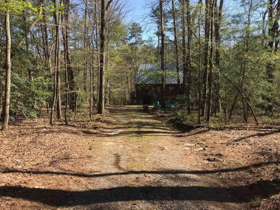Cabin Fever On Cartecay River Ellijay Exterior photo